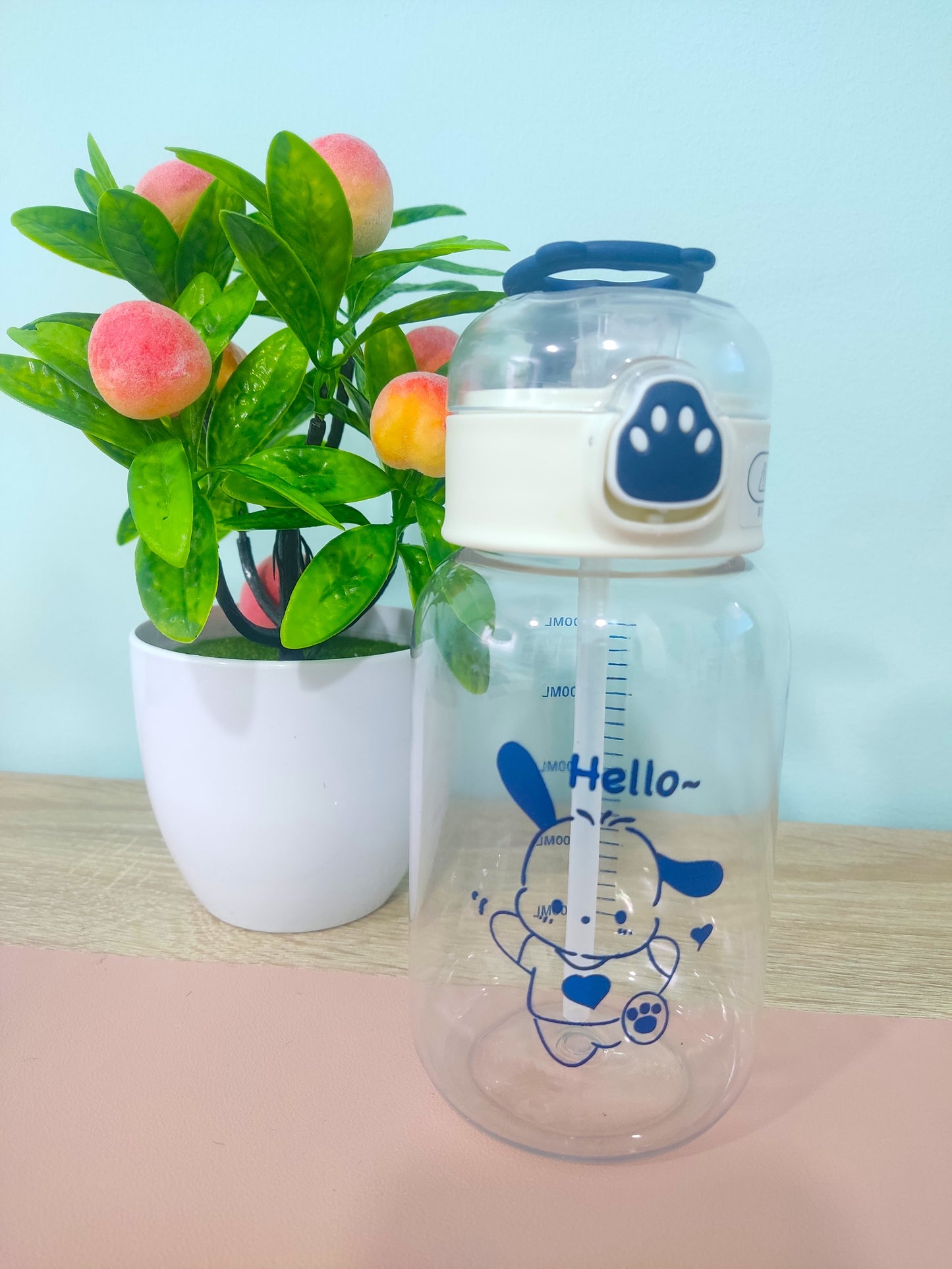 Botella transparente con pajita Sanrio